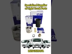 OEM-Ersatzteil für ISUZU / Mitsubishi / HINO / JAC / NISSAN / TOYOTA