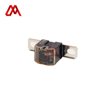 Fuse 80A 1-82516031-0 18251-60310 1825160310 for ISUZU CYH51 6WF1TCS